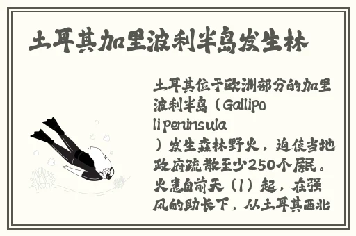 2024国精品一品二品**
